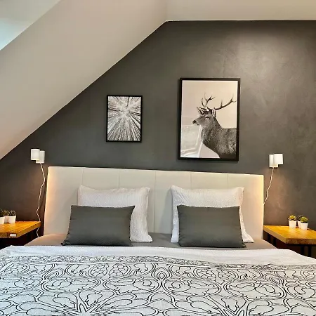 Molinaro Apartmany Jeseniky Karlovice  Exteriér fotografie