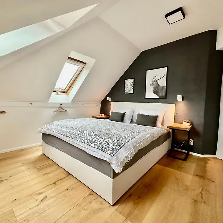 Molinaro Apartmany Jeseniky Karlovice  Exteriér fotografie